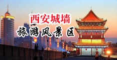 使劲干影院中国陕西-西安城墙旅游风景区